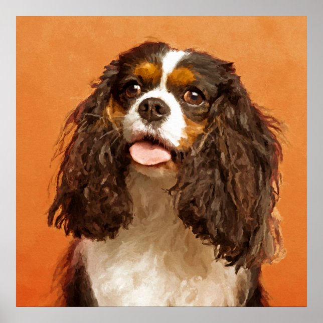 Poster Cavalier King Charles Spaniel (Frente)