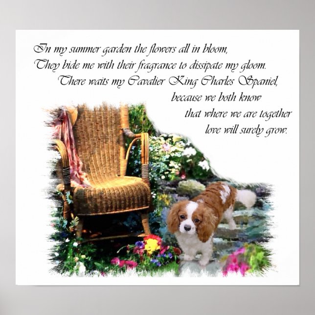 Póster Cavalier King Charles Spaniel Art (Frente)