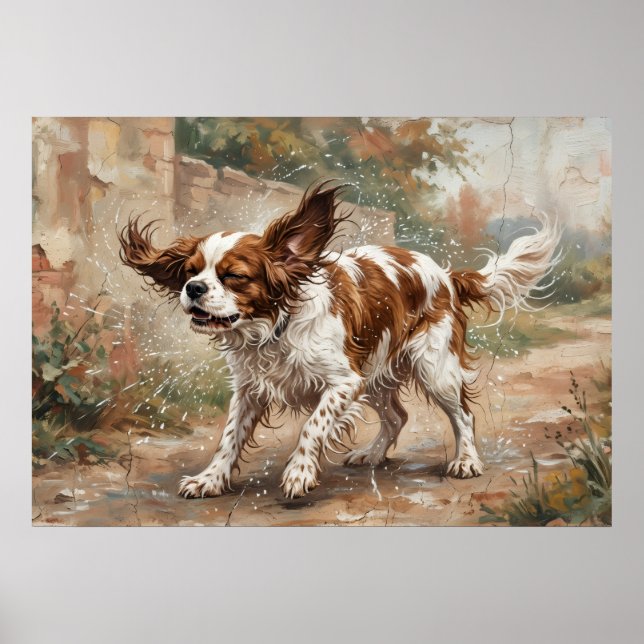Poster Cavalier King Charles Spaniel Brincando no Jardim (Frente)