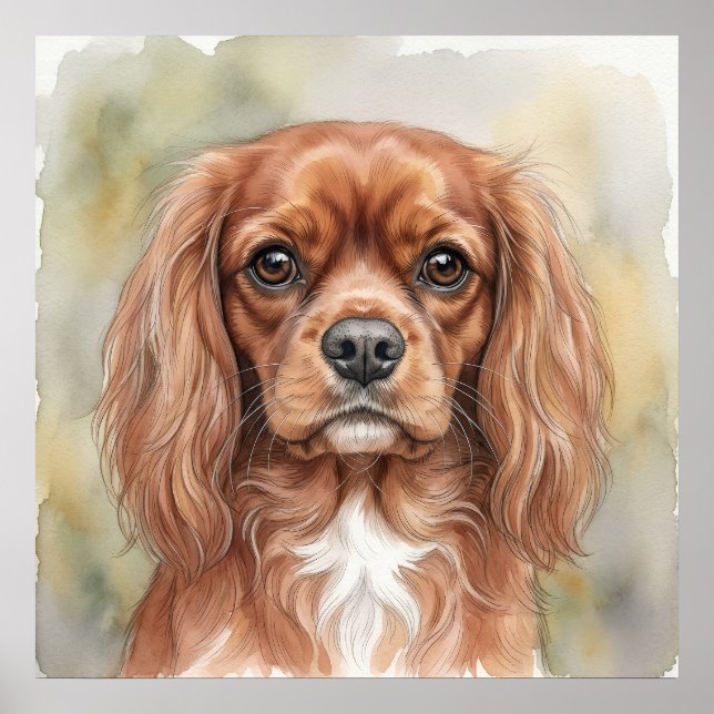 Poster Cavalier King Charles Spaniel Close-Up Aquarela (Frente)