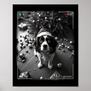 Poster Cavalier King Charles Spaniel de Natal Preso Em