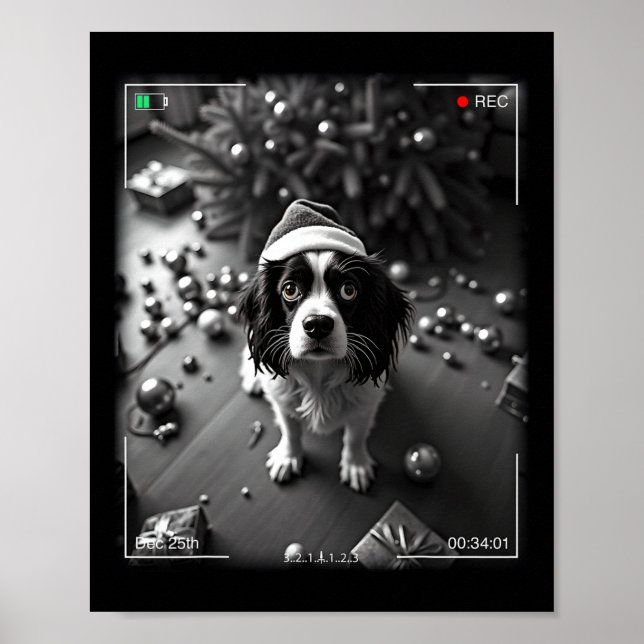 Poster Cavalier King Charles Spaniel de Natal Preso Em  (Frente)