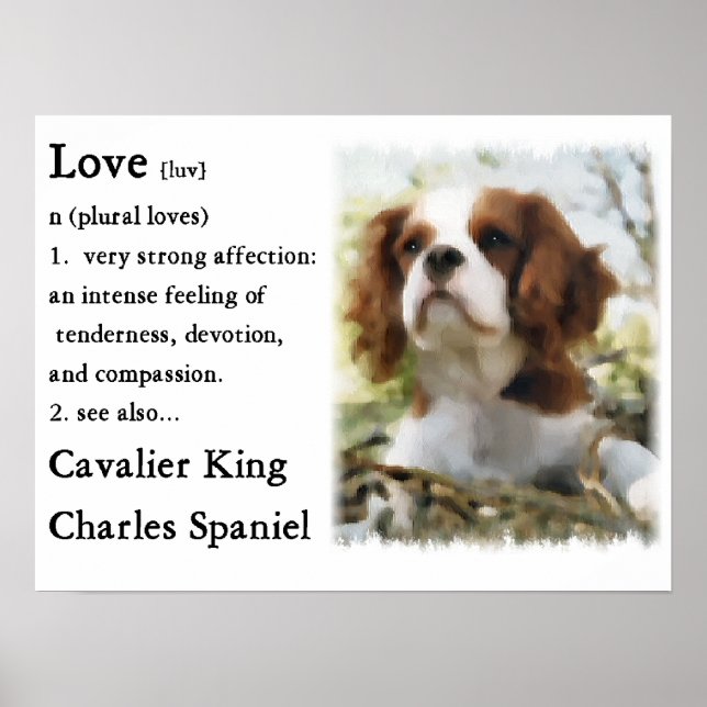 Poster Cavalier King Charles Spaniel Gifts (Frente)