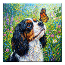 Cavalier King Charles Spaniel Jardim das Borboleta
