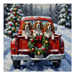 Póster Cavalier King Charles Spaniel Natal Caminhão Verme