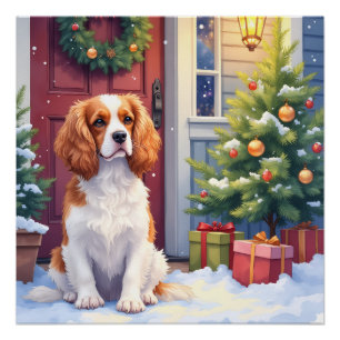 Póster Cavalier King Charles Spaniel Natal Nevado