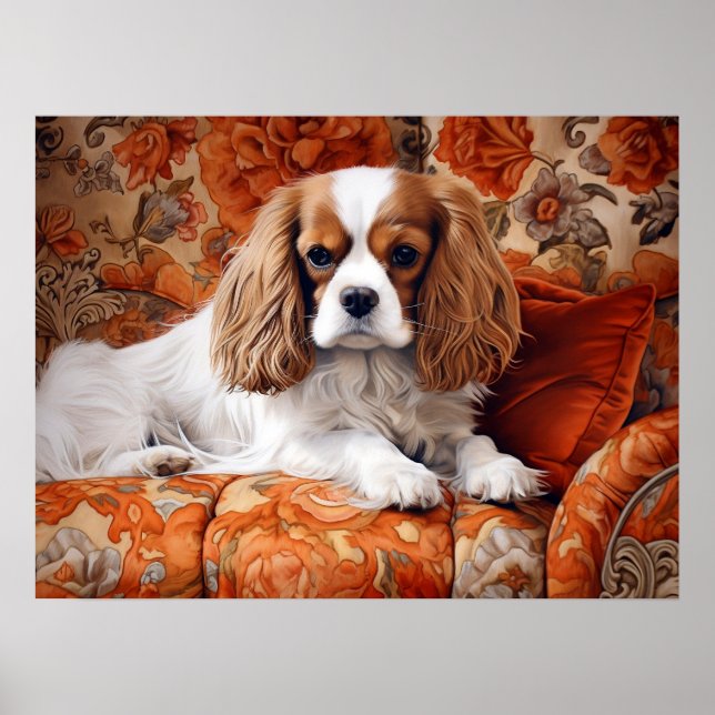 Poster Cavalier King Charles Spaniel no Sofa (Frente)