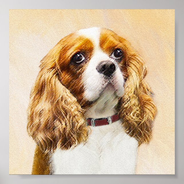 Póster Cavalier King Charles Spaniel Original (Frente)
