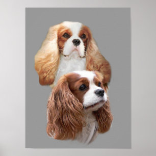 Póster Cavalier King Charles Spaniel Pretty Girls Print
