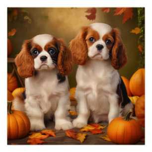 Póster Cavalier King Charles Spaniel Puppy Autumn Pumpkin