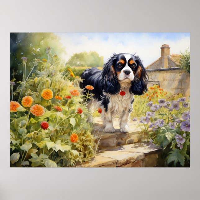 Poster Cavalier King Charles Spaniel Tricolor (Frente)