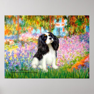 Poster Cavalier King Charles (tricolor) - Jardim