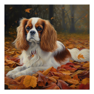 Póster Cavalier King no outono deixa cair inspiração