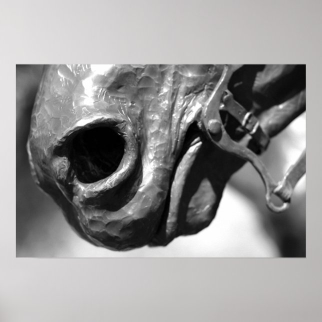 Póster Cavalo (Frente)