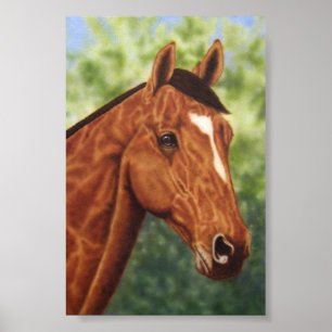 Poster Cavalo