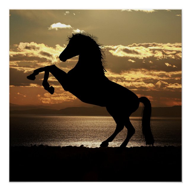 Póster cavalo (Frente)
