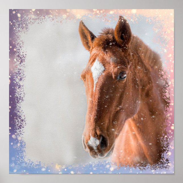 Poster Cavalo (Frente)