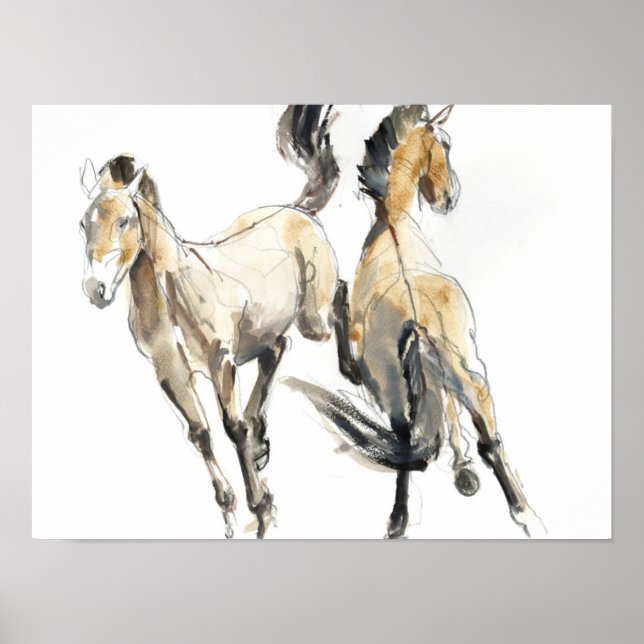 Póster Cavalo 2013 (Frente)