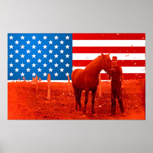 Poster Cavalo americano