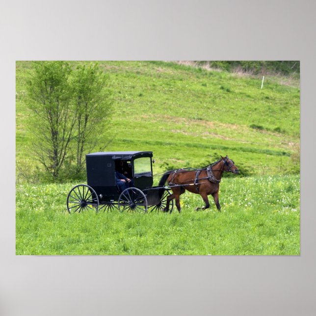 Póster Cavalo Amish e charrete perto de Berlim, Ohio. (Frente)