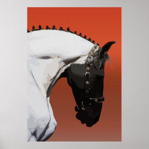 Poster Cavalo Andaluz Elegante – Majestosa Arte Equestre