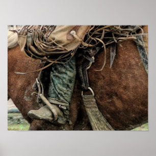 Poster Cavalo Andando Rodeio Ocidental