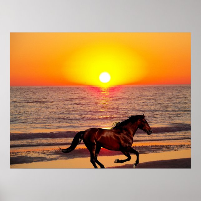 Póster Cavalo ao Sol (Frente)
