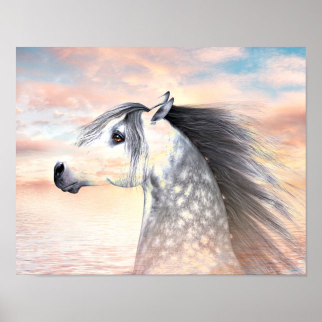 Póster Cavalo Appaloosa (Frente)