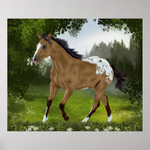 Póster Cavalo Appaloosa Buckskin