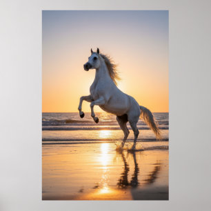 Poster Cavalo Árabe Branco Majestoso Pôr do Sol na Praia