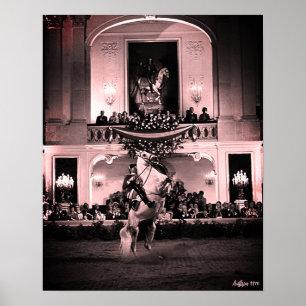 Poster Cavalo Austríaco Antigo de Viena Courbette Espanho