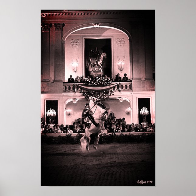 Poster Cavalo Austríaco Clássico de Viena Courbette Espan (Frente)
