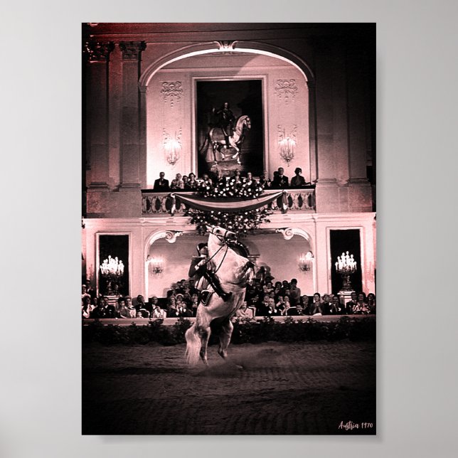 Poster Cavalo Austríaco Clássico de Viena Courbette Espan (Frente)