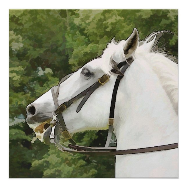 PÓSTER CAVALO BRANCO (Frente)