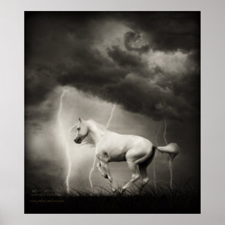 Poster Cavalo branco