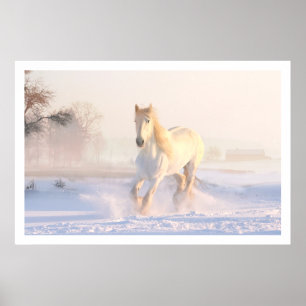 Poster Cavalo Branco Bonito