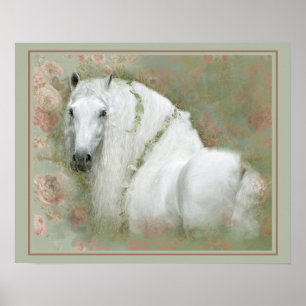 Poster Cavalo Branco - Cartaz