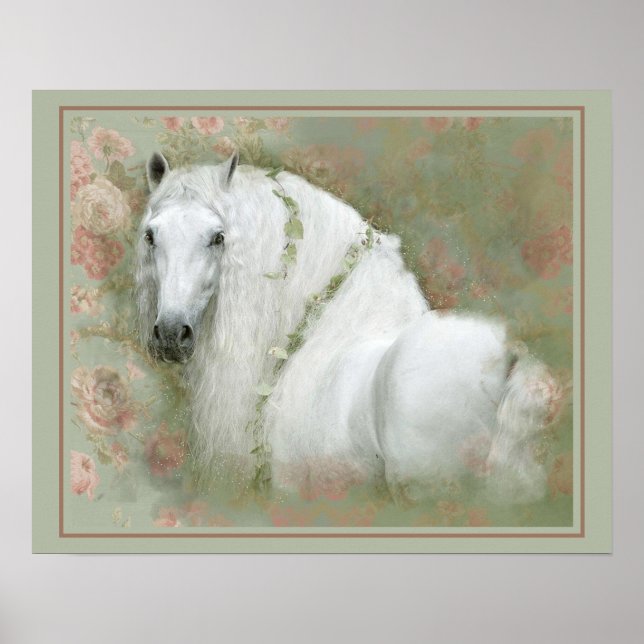 Poster Cavalo Branco - Cartaz (Frente)