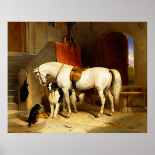 POSTER CAVALO BRANCO COM CÃES E FALCÕES NA ESTABULÁRIA
