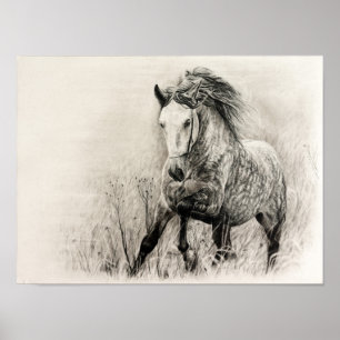 Póster Cavalo branco no carvão vegetal