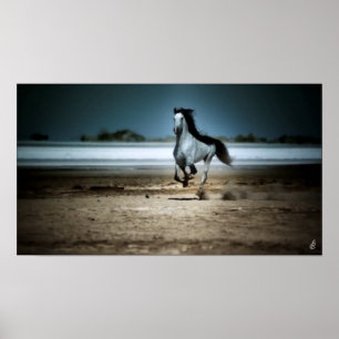 Poster Cavalo branco Running na praia