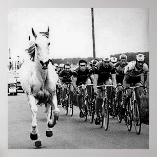 Poster Cavalo Branco Tour De France 1975 Color Redux