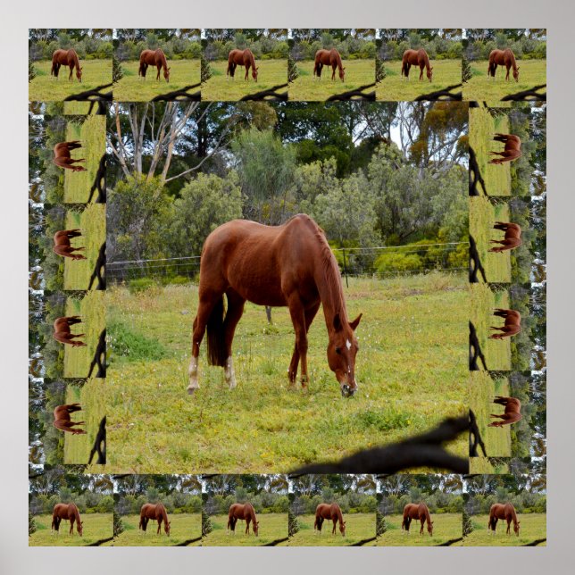 Poster Cavalo Castanho Arrastado Com A Mesma Imagem, (Frente)