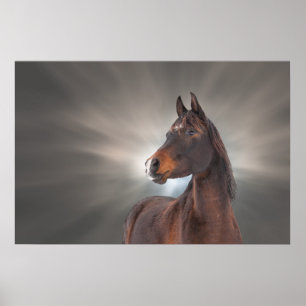 Póster Cavalo contra Nuvens