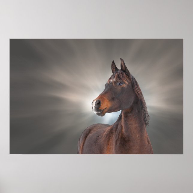 Póster Cavalo contra Nuvens (Frente)