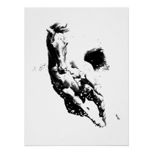 Póster Cavalo Correndo