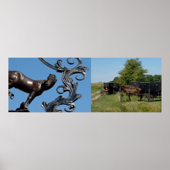 Poster Cavalo da Cidade, Cavalos do País (Frente)