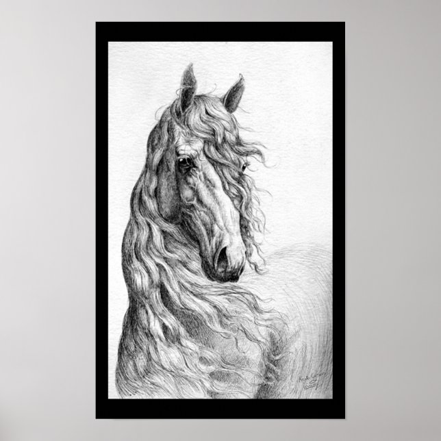 Póster Cavalo-da-índia (Frente)