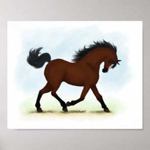Poster Cavalo de Baía com Equestre Blaze