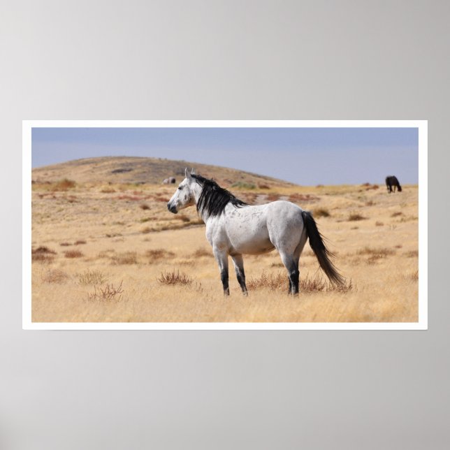 Poster Cavalo de Cinzas Selvagens, Utah (Frente)